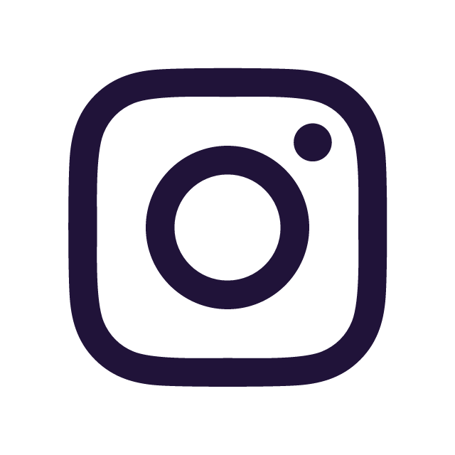 insta icon